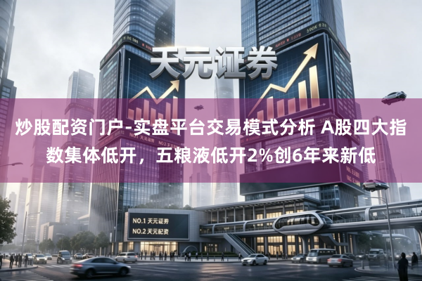 炒股配资门户-实盘平台交易模式分析 A股四大指数集体低开，五粮液低开2%创6年来新低
